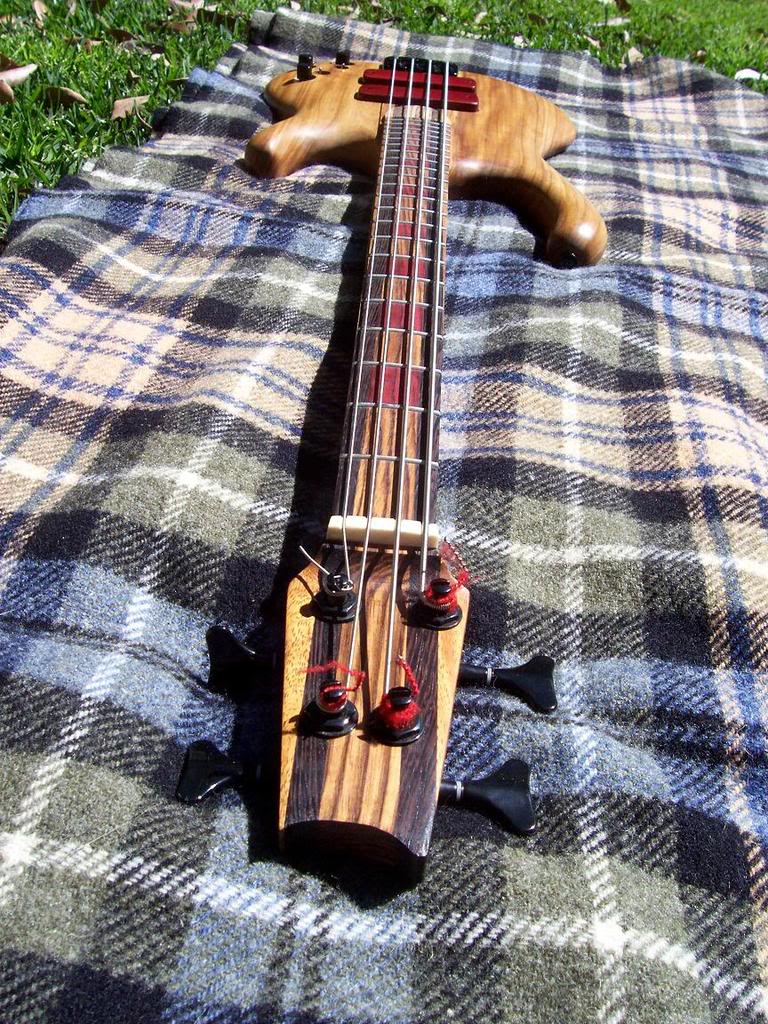 bassneckfront.jpg