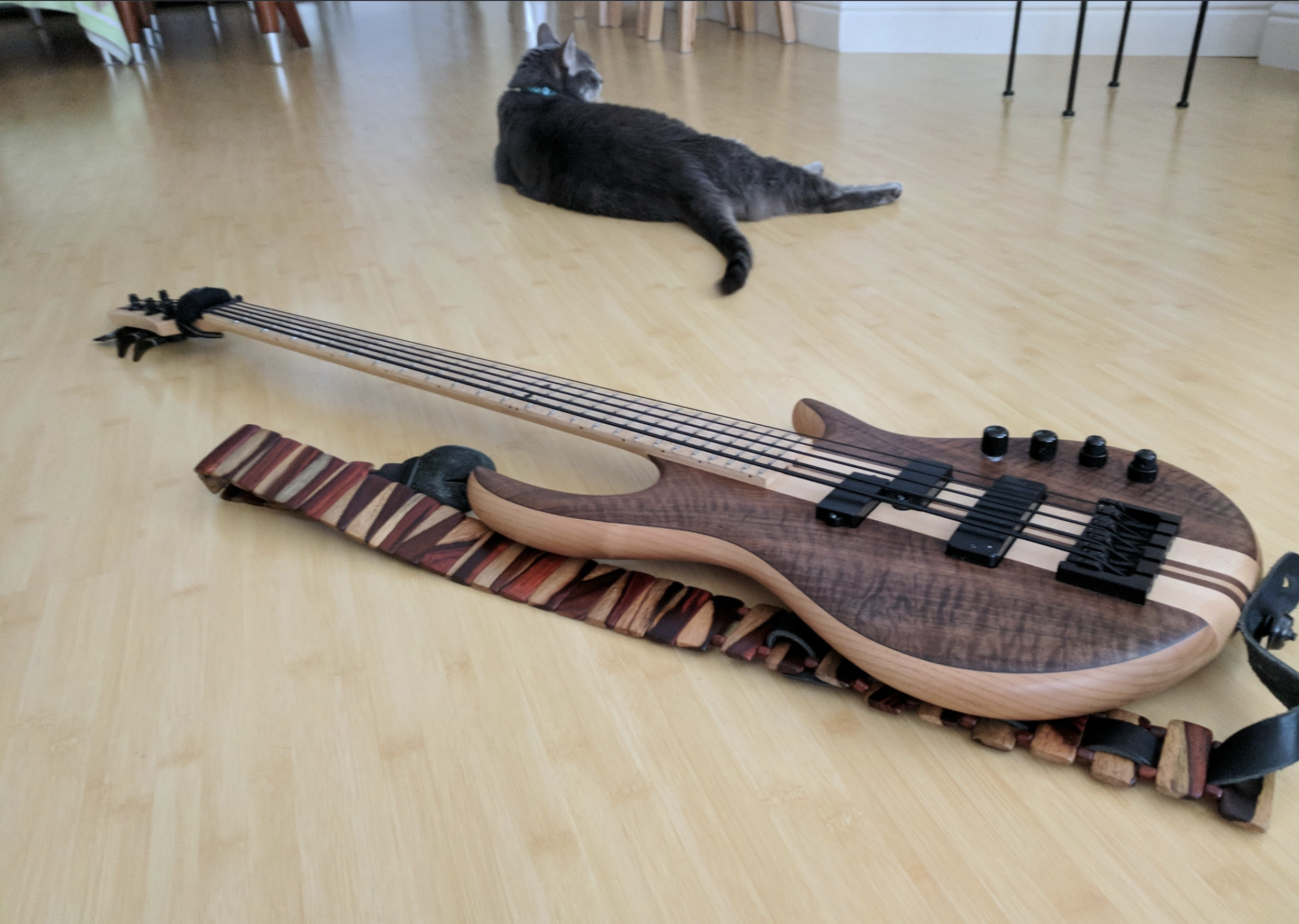 bassNkitty.png