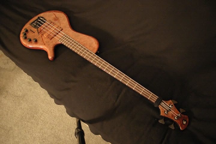 Bassnutz4.jpg