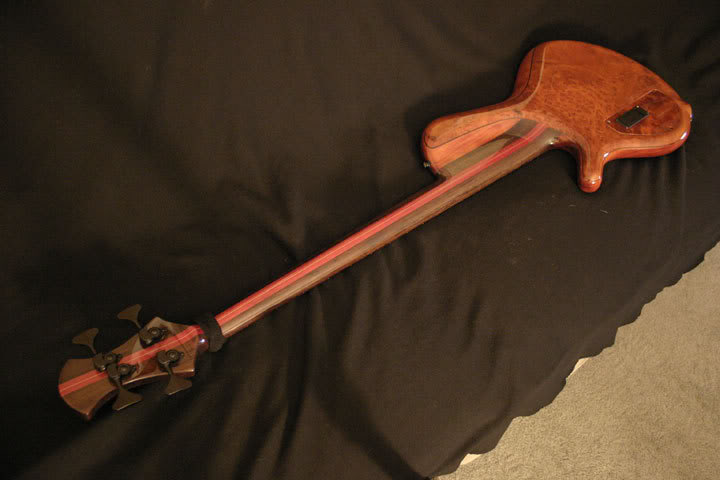 Bassnutz5.jpg