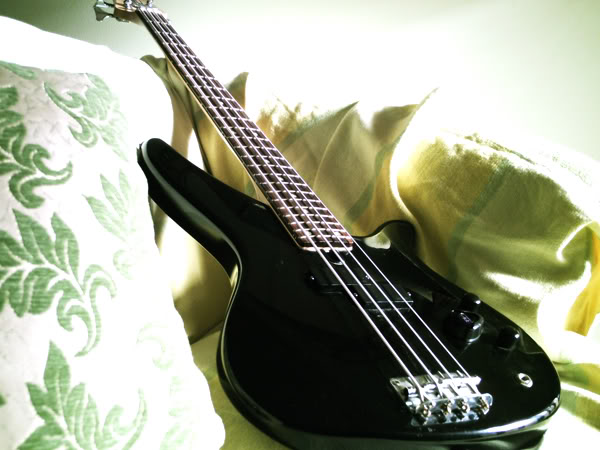 Basspic01.jpg
