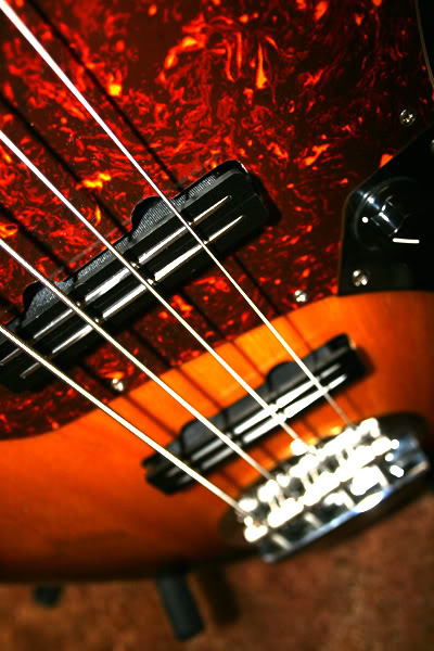 basspickupscloseup.jpg
