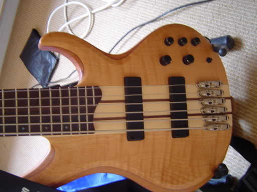 Basspics001.jpg