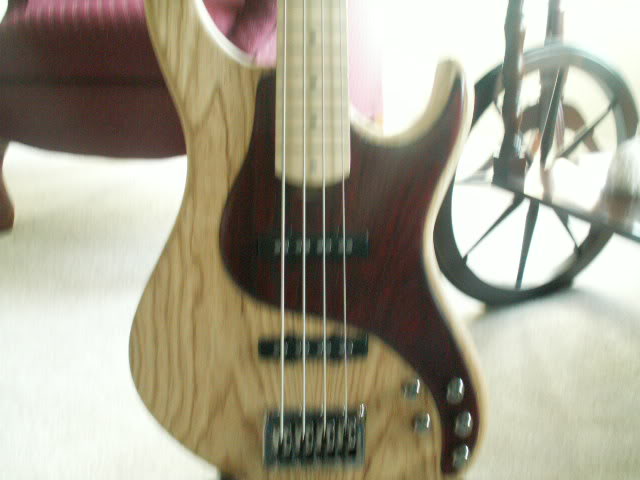 basspics005.jpg