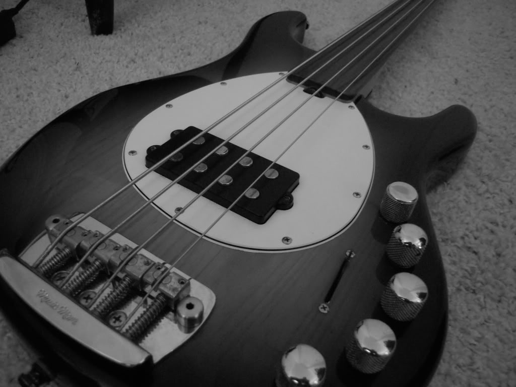 basspics009.jpg