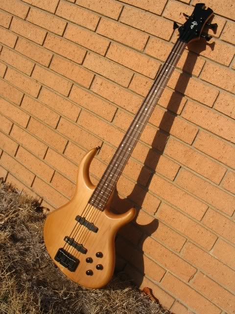 BassPics018.jpg