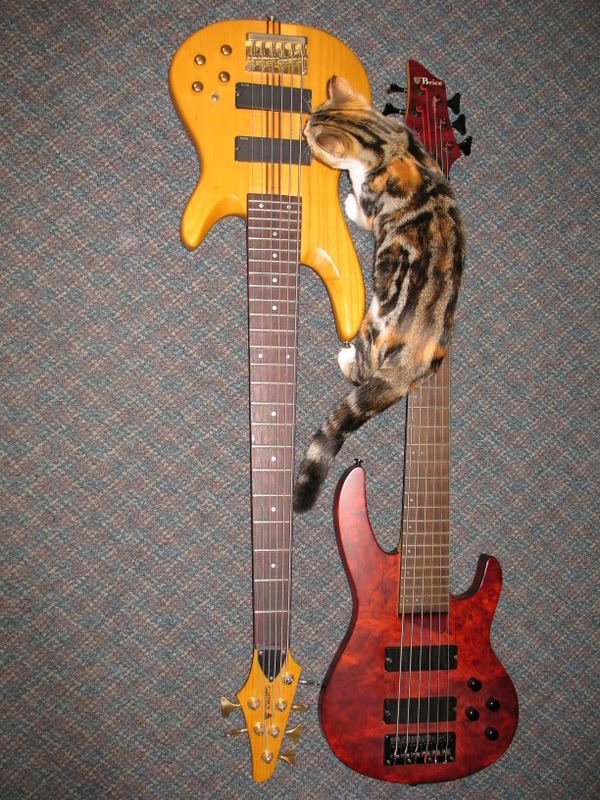 basspix019.jpg