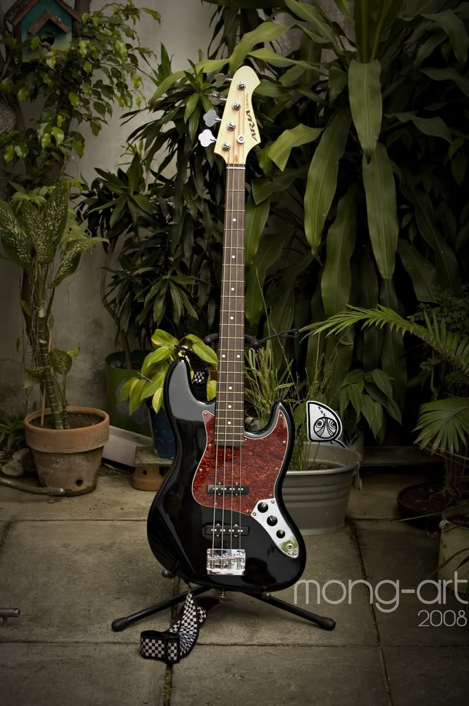 bassredpickguard.jpg