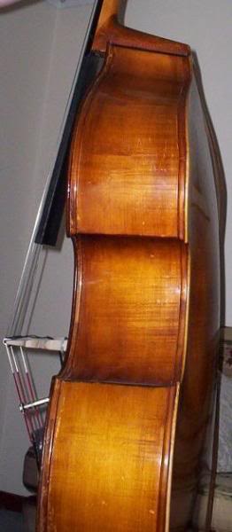 bassside.jpg