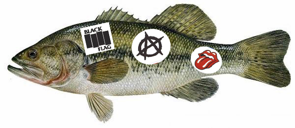 bassss.jpg