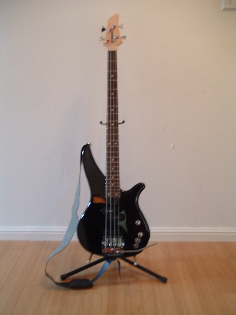 BassTremPictures001-1.jpg