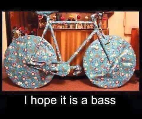 bassycle....jpg