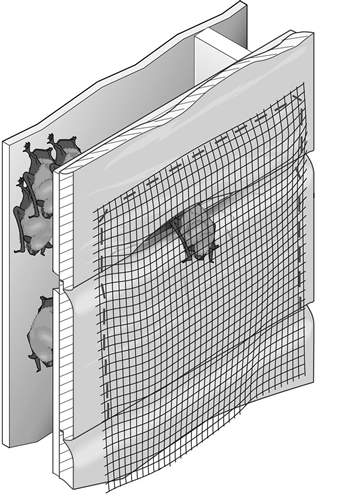 bat6.jpg