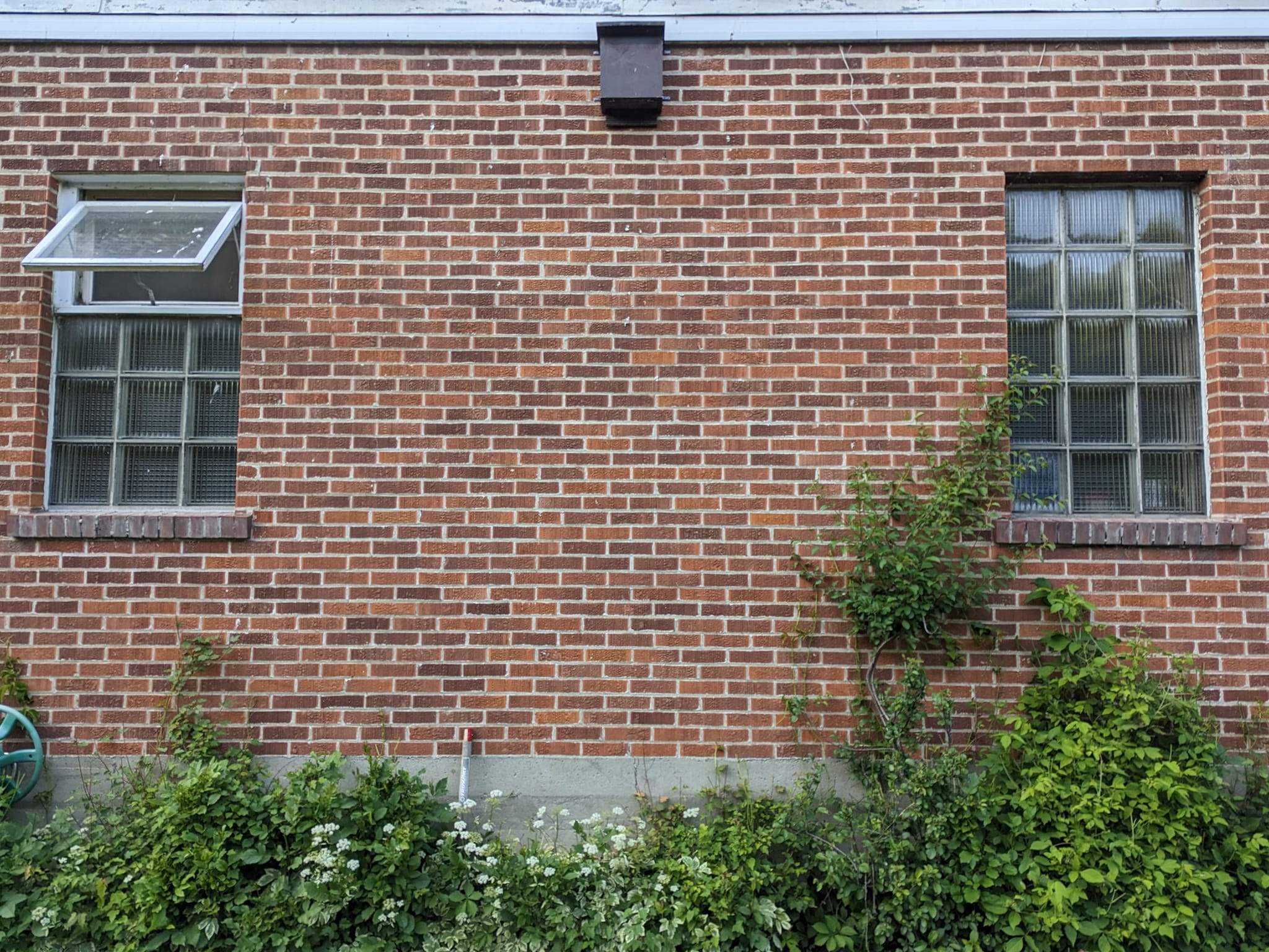 bathouse.jpg