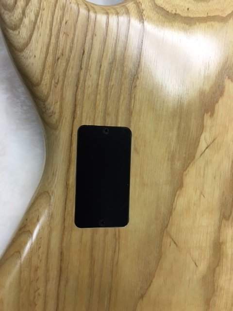 battery compartment.jpg
