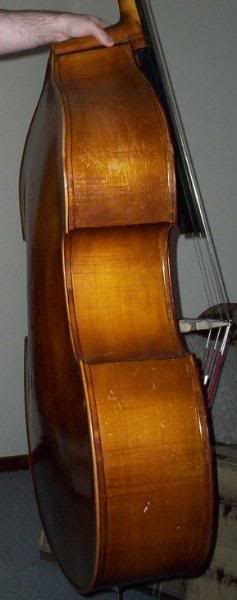 battlescarredbass.jpg
