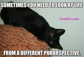 BB1D6CAF-5786-4161-A9E6-3A2E1A044BDE.jpeg