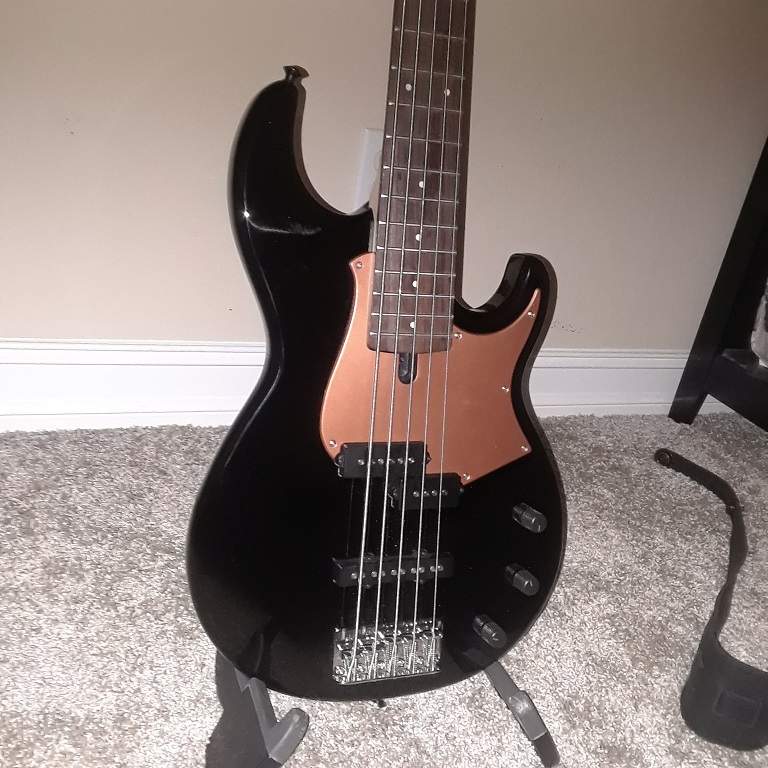BB235 Copper PG.jpg