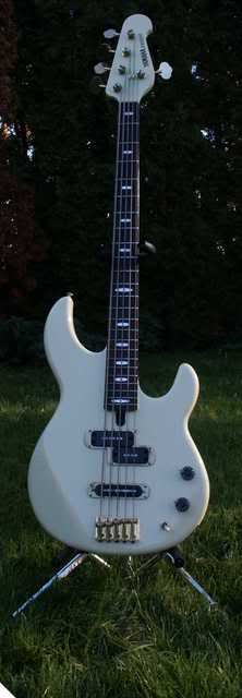 BB5000Daylight.jpg