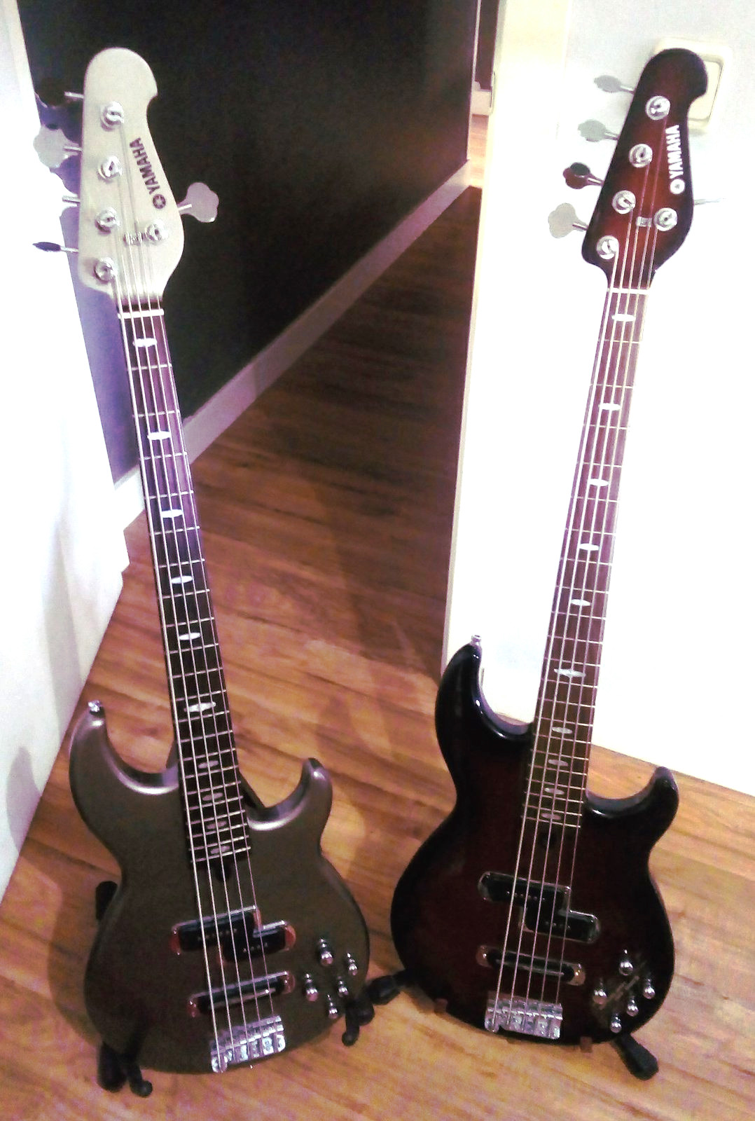 bb_pair.jpg