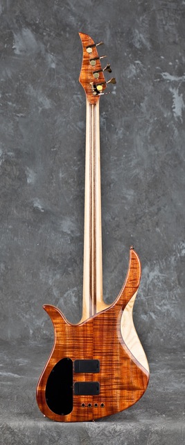 bbcustombass2.jpg