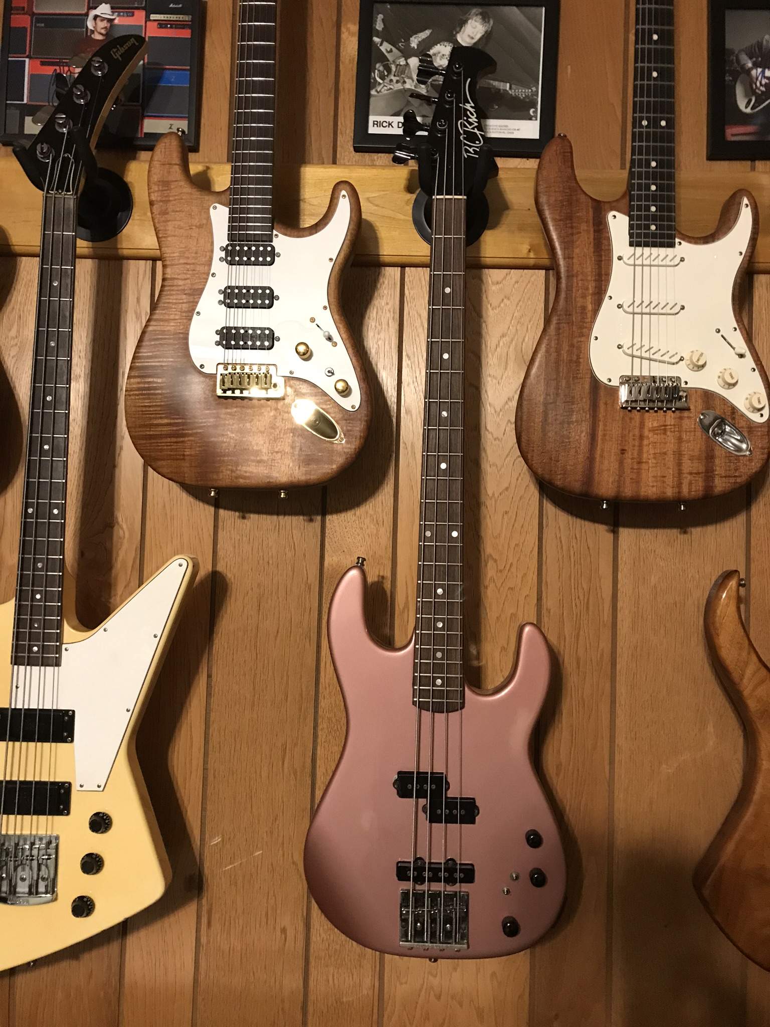BCR ST Bass.JPEG