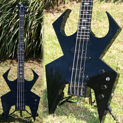 bcrichblackwidow.jpg