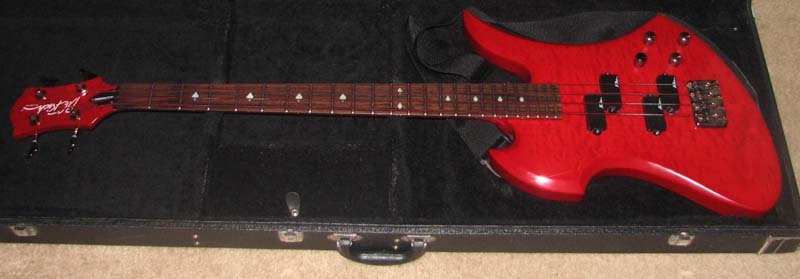 BCRichNJMocingbird.jpg