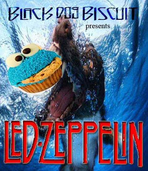 bdcc.jpg