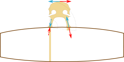 bdhlg-png.png