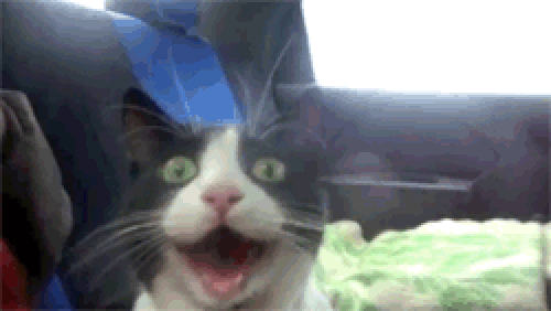 BDoh.gif