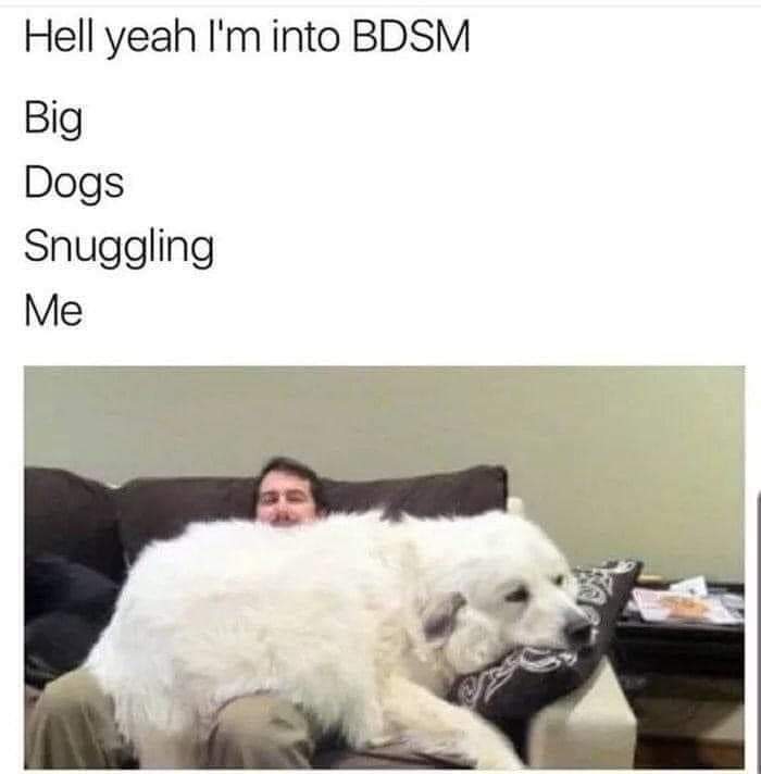 bdsm.jpg