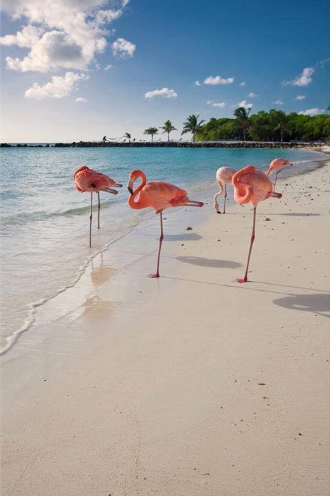 beach-10.jpg