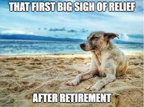 beach-dog-retirement-meme-813012189.webp