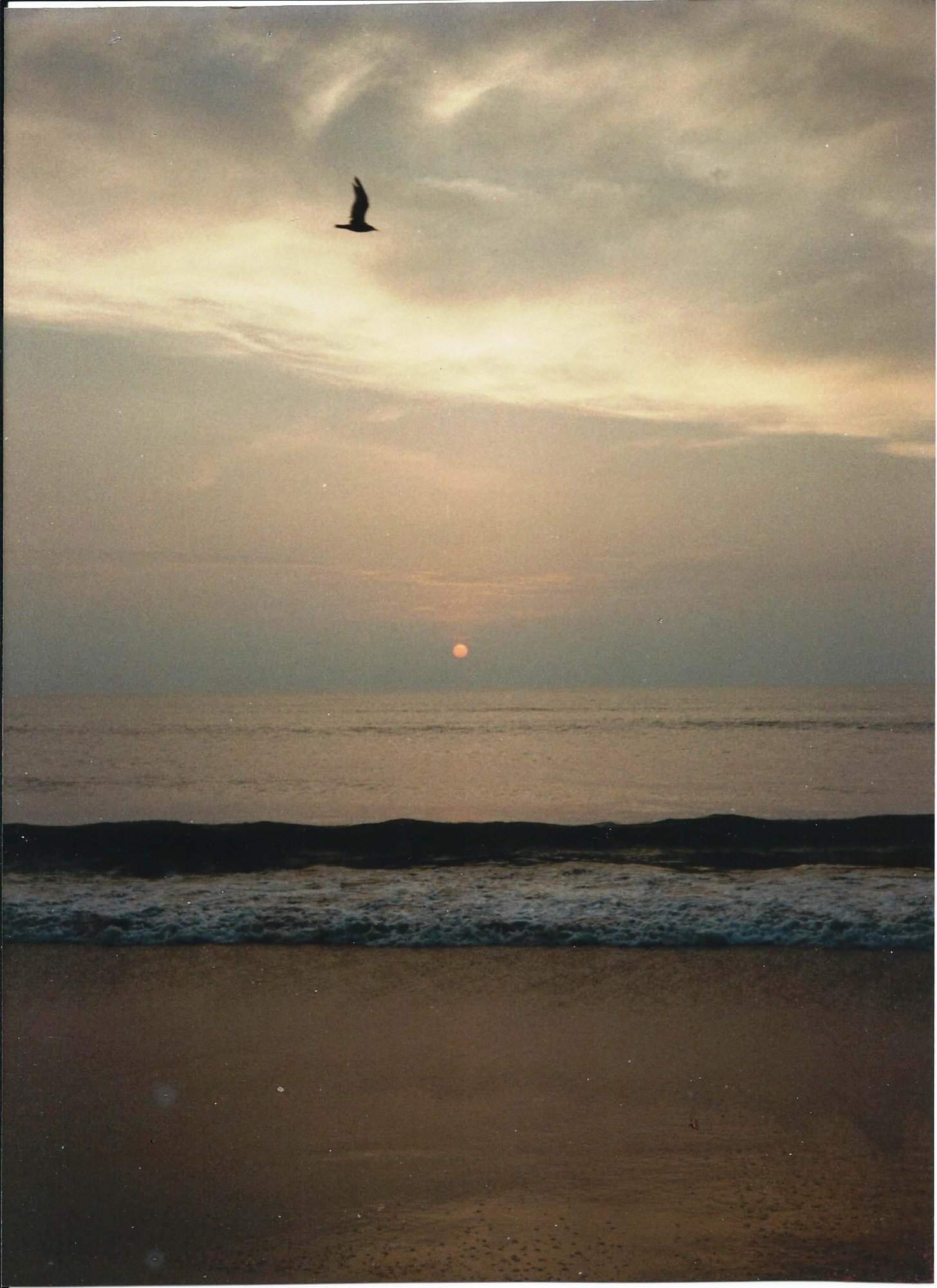 Beach-VA.jpg