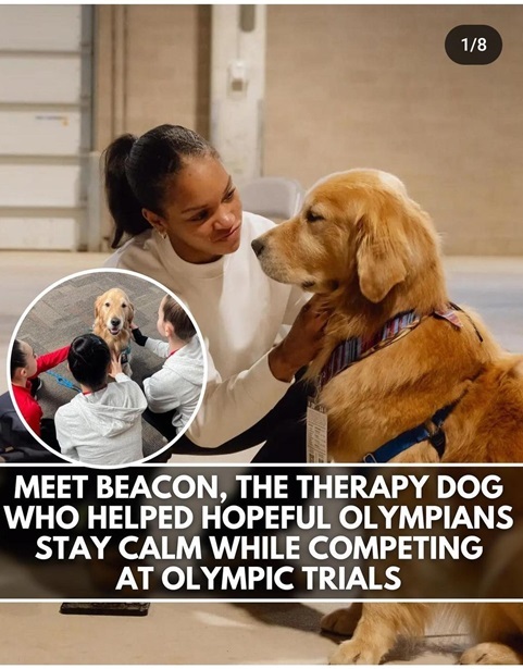 beacon dog.jpg