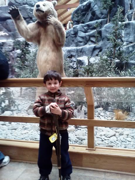 bear-1.jpg
