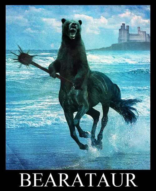 bear.jpg