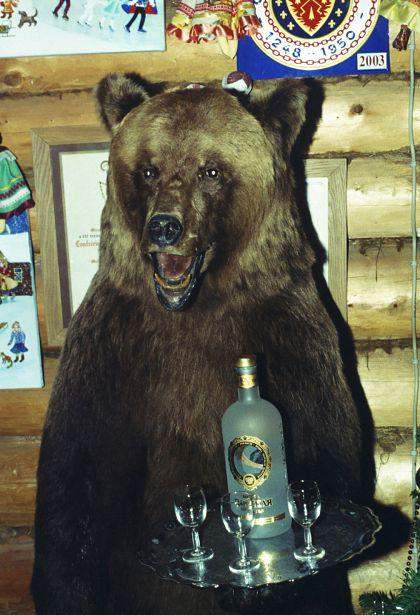 bear.jpg