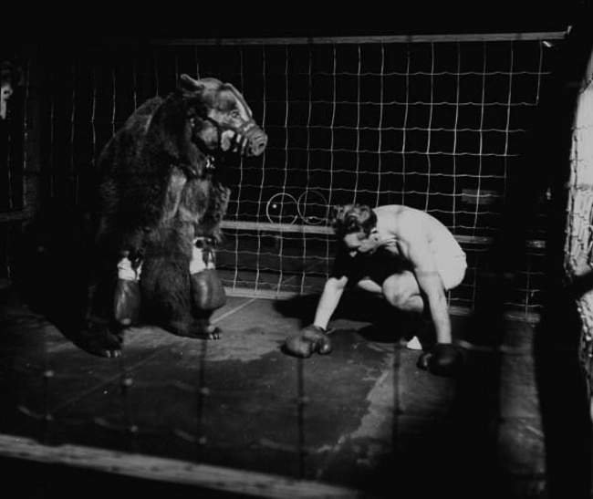 bear3.jpg