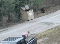 bear_zps420b0ed7.gif