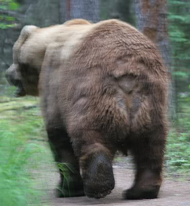 bearbung.jpg