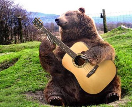 bearplayingguitar.jpg