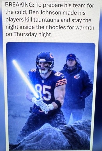 Bears.jpg