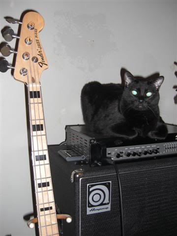 Bearwithbass1Small.jpg