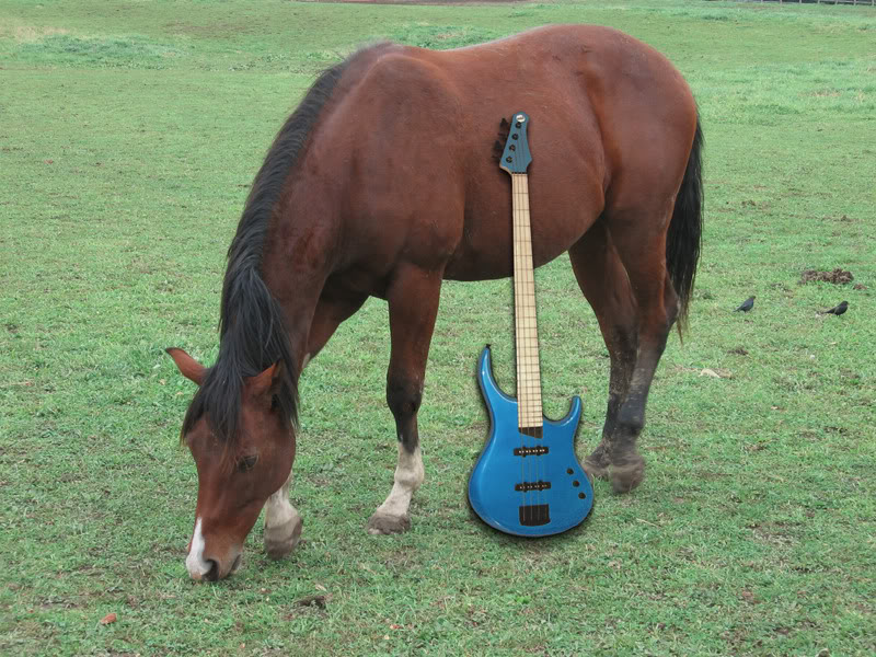 BeastHorse.jpg