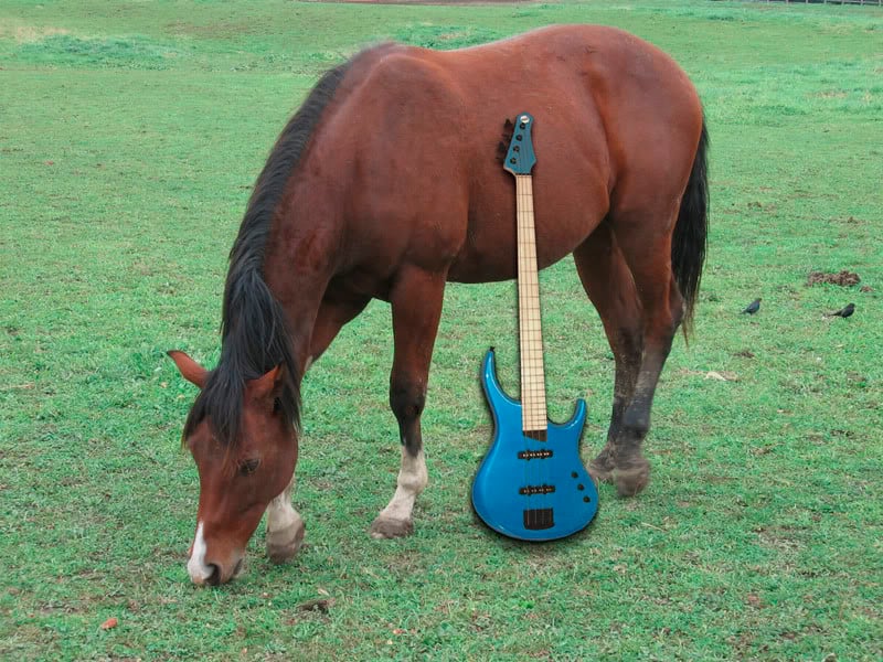 BeastHorse.jpg