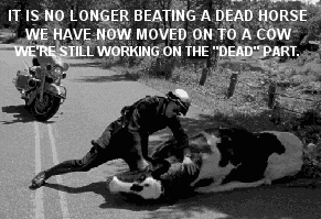beat-cow.gif