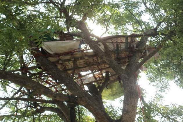bed-on-trees.jpg