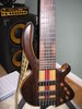 beebass004.jpg